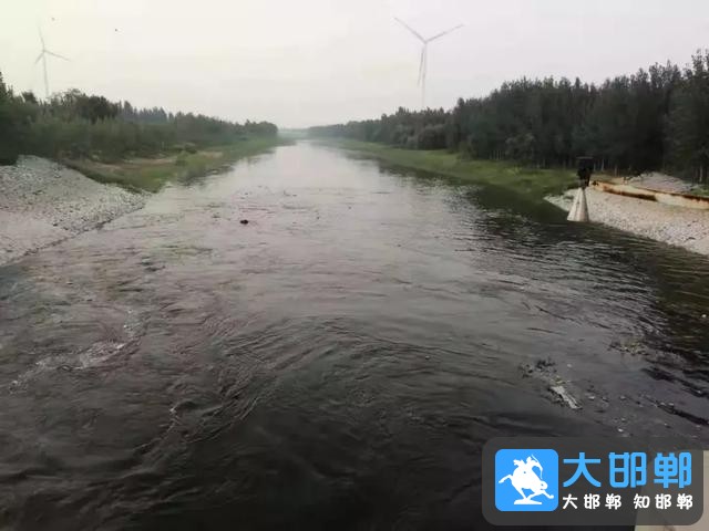 老沙河来水了！邱县夏季打卡地，安全要牢记-1.jpg